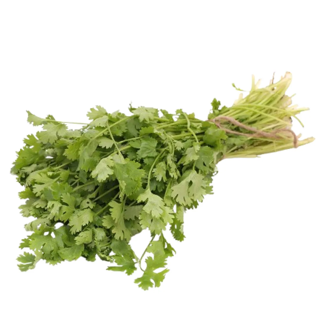 Coriander (Hara Dhannia)