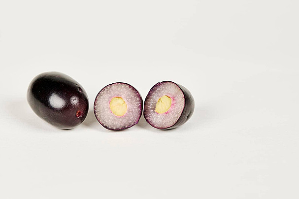 Java Plum (Jaman)