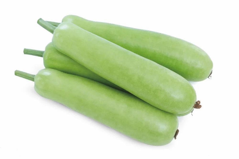 Lauki (Bottle Gourd)