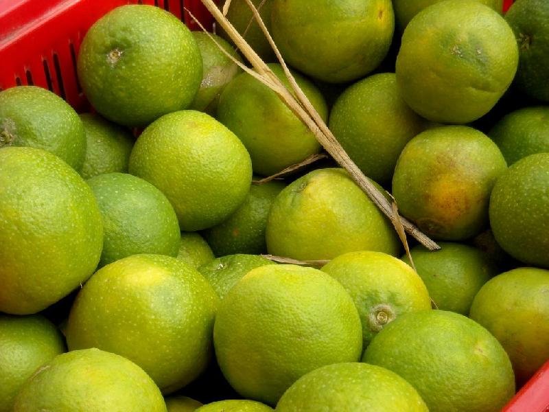 Mosambi (Sweet Lemon)
