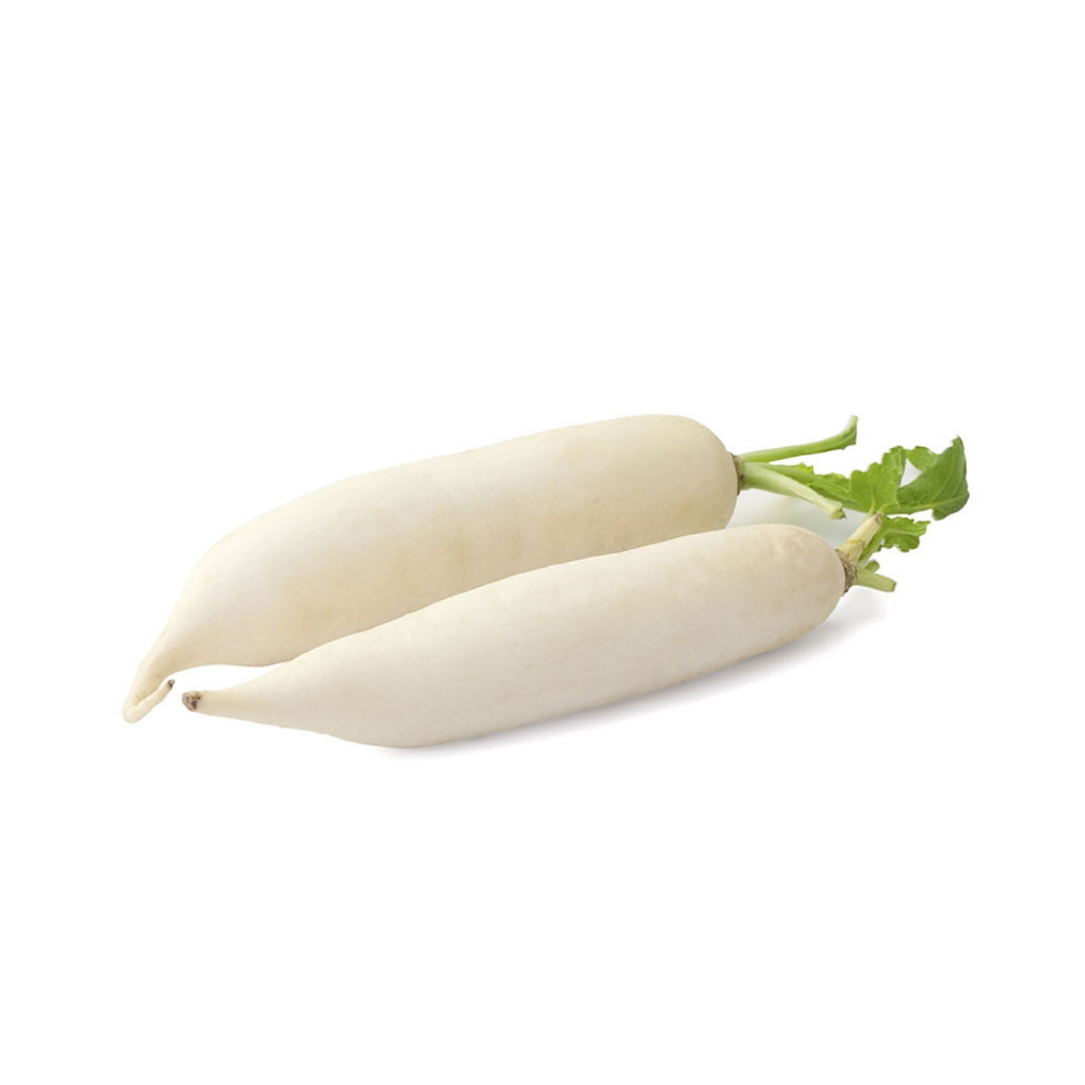 Radish (Moli)