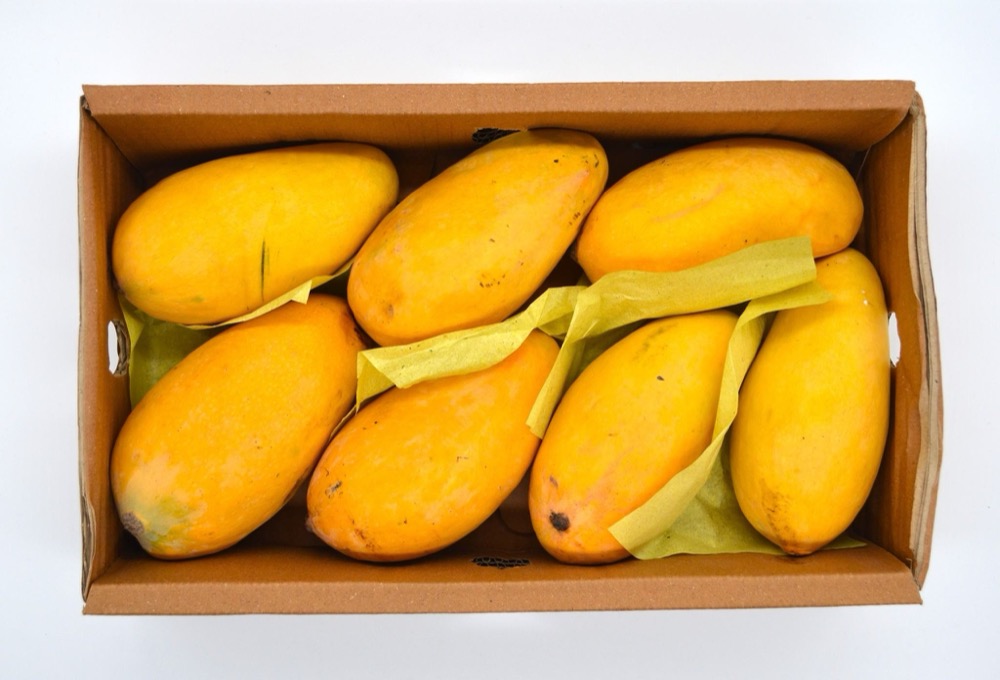 Rattewala Mango