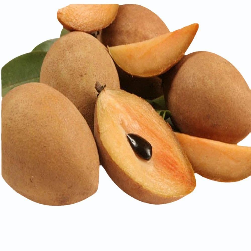 Sapota (Cheeku)