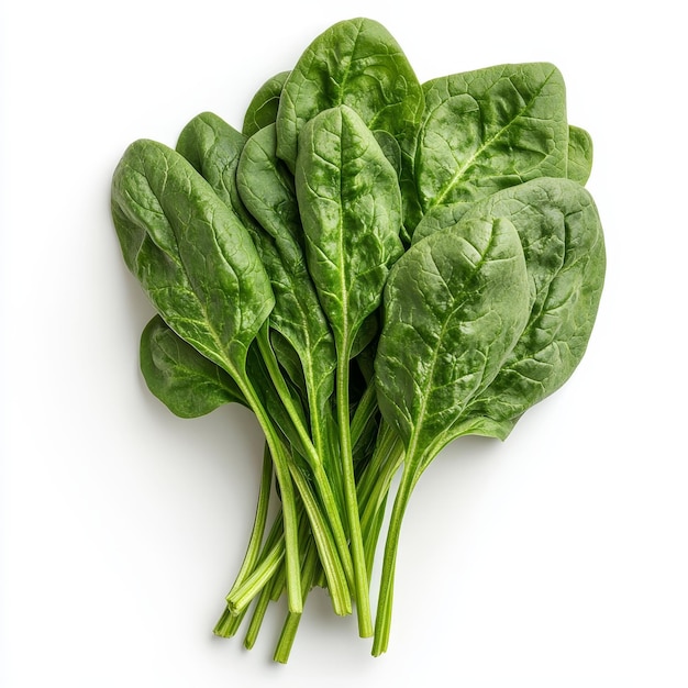 Spinach (Palak)
