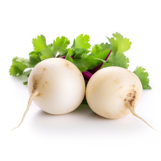 Turnip (Shaljam)